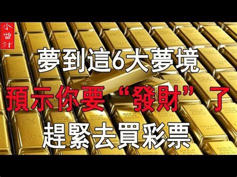 蜈蚣代表號碼|蜈蚣夢境：中獎密碼？